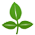 Henna Supplier in India