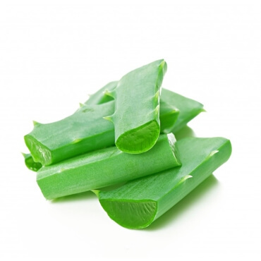 Aloe Vera Powder Exporter in India