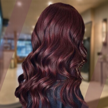 Henna Based Burgundy Dye Exporter in India