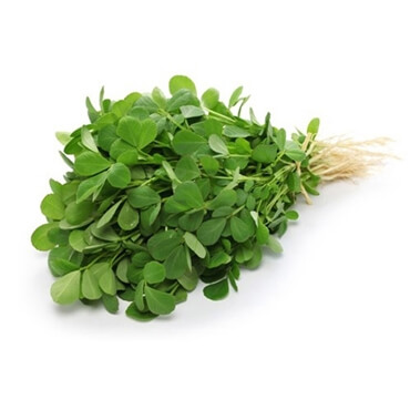Methi (Fenugreek) Seed Powder Exporter in India